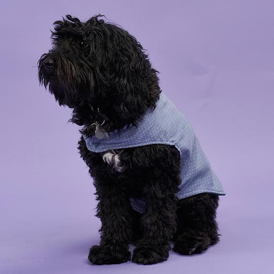 Poppy & Jazz Poppy Dog Coat