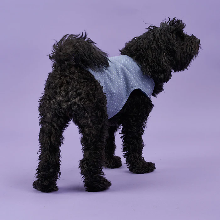 Poppy & Jazz Poppy Dog Coat - Image 2